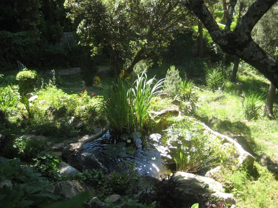 La Rocalla Del Tietar Villa Sotillo de la Adrada Bagian luar foto